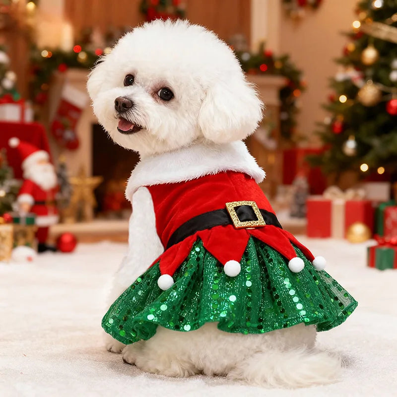 Robe de Noël festive - chien et chat