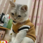 Pull d’hiver col V style collège - chien et chat