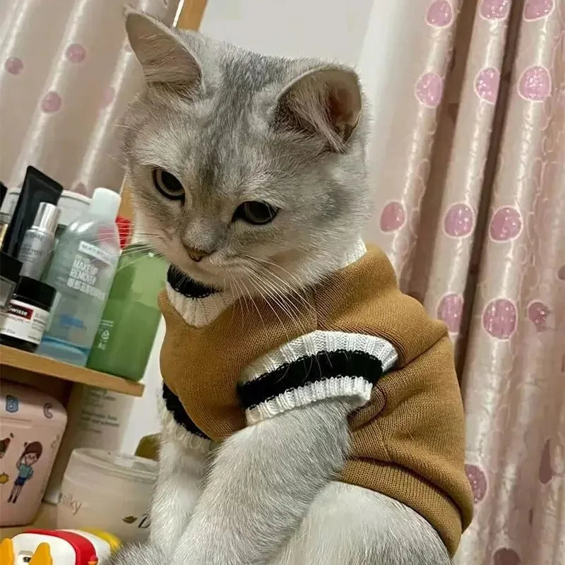 Pull d’hiver col V style collège - chien et chat
