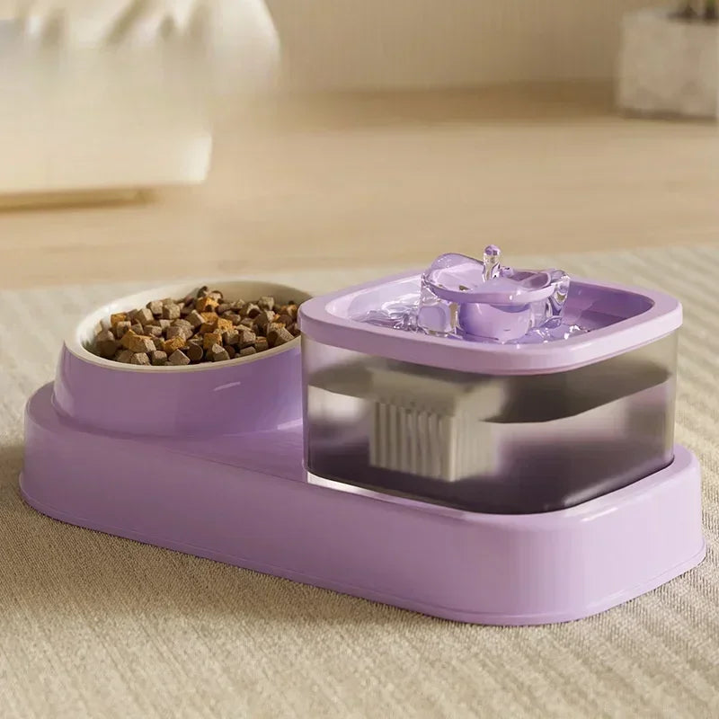 Fontaine à eau 2-en-1 pour chat avec bol intégré