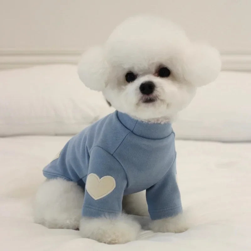 Pull chaud - chien ou chat