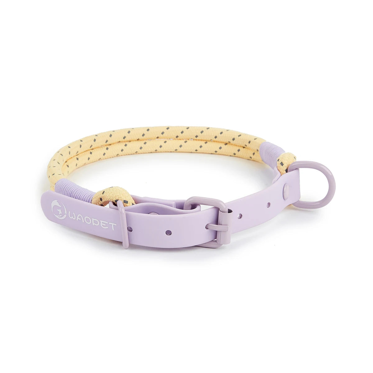 Collier ou laisse en PVC pour chien