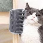 Brosse murale auto-toilettage pour chat