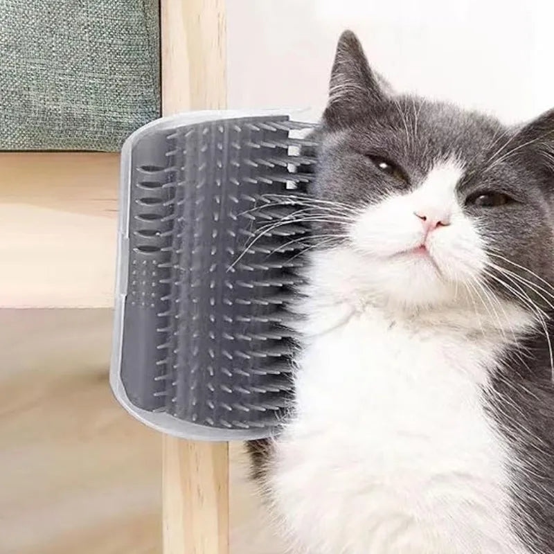 Brosse murale auto-toilettage pour chat