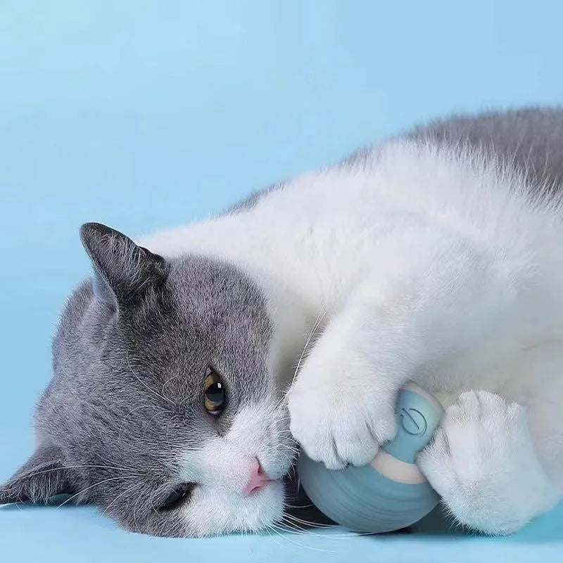 Jouet balle roulante automatique - chat