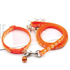 Collier + laisse nylon motif empreintes pour chat et petit chien