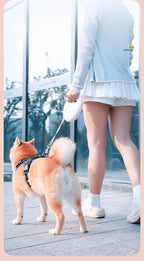 Laisse Rétractable 3 m / 5 m pour Chat ou Petit et Moyen Chien