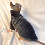 Pull col roulé doux et chaud - chien ou chat