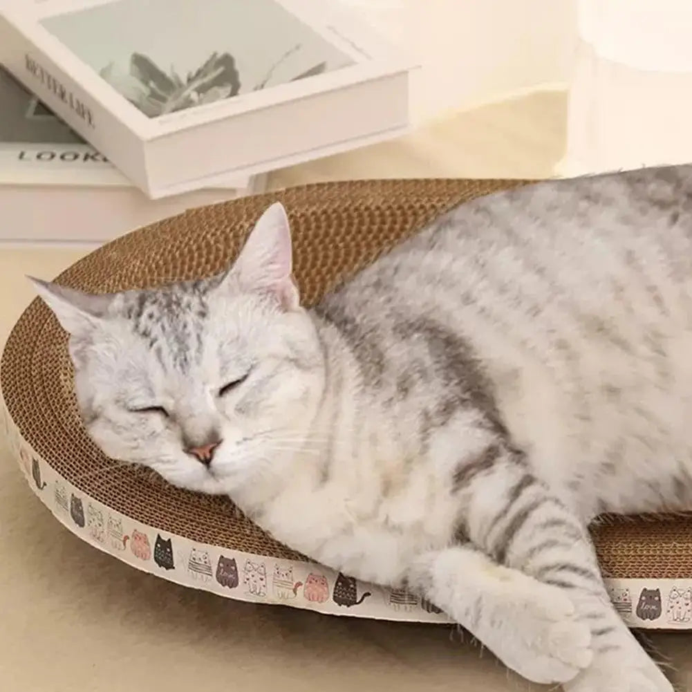 Griffoir cocon en carton ondulé - chat