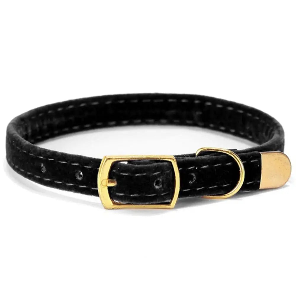 Collier floqué réglable pour chat