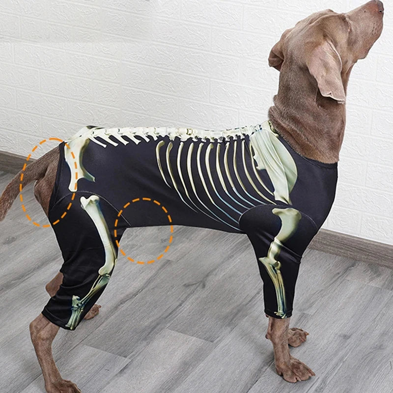 Costume squelette Halloween - chien