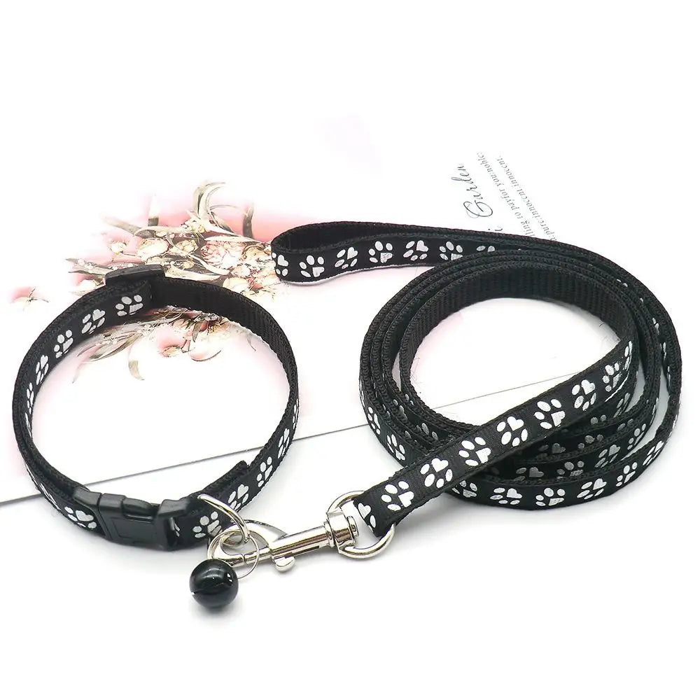 Collier + laisse nylon motif empreintes pour chat et petit chien