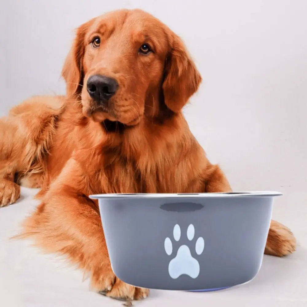 Bol antidérapant en acier inoxydable pour chien et chat