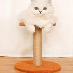 Griffoir Rond en Sisal pour Chat