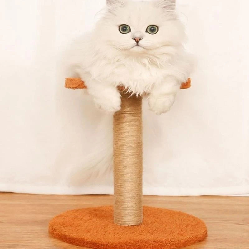Griffoir Rond en Sisal pour Chat
