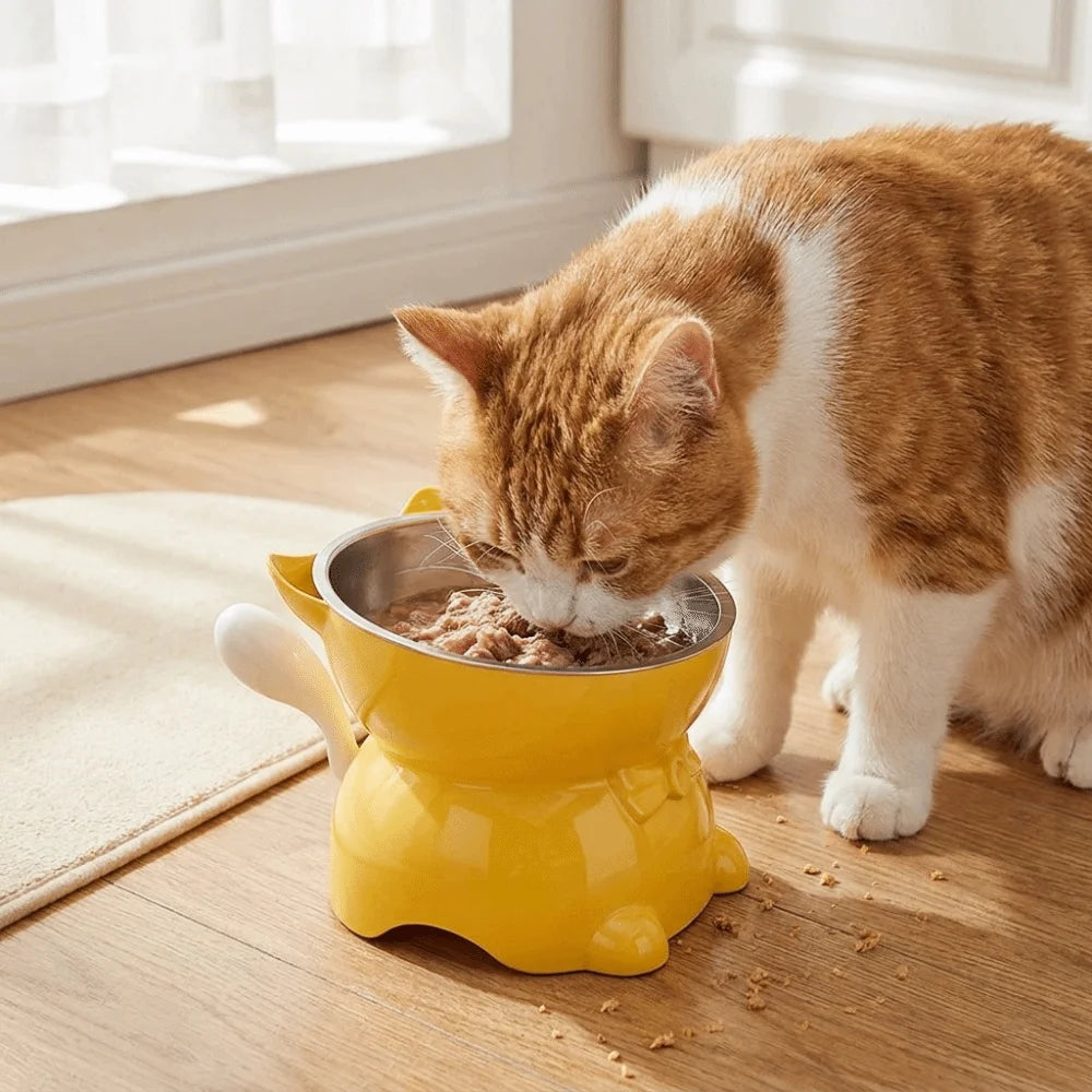 Bol incliné anti-étouffement - chat