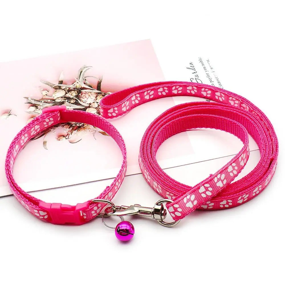 Collier + laisse nylon motif empreintes pour chat et petit chien