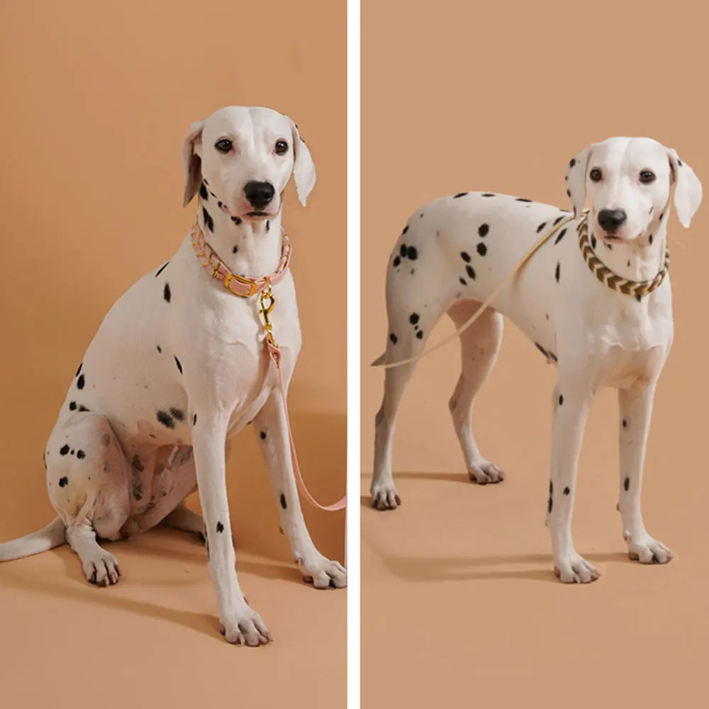 Collier chien fait main coloré réglable