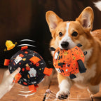 Balle Halloween avec cloche - chien