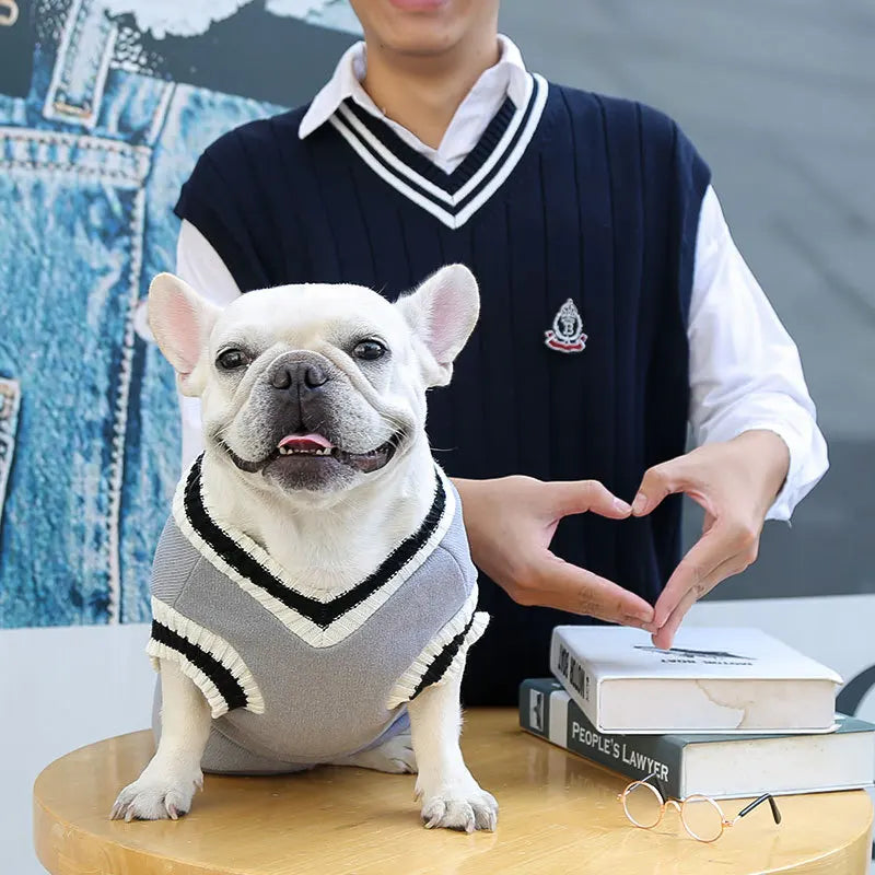 Pull d’hiver col V style collège - chien et chat
