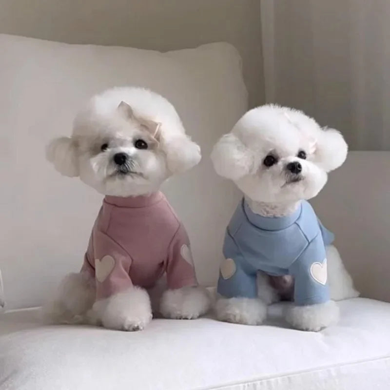 Pull chaud - chien ou chat