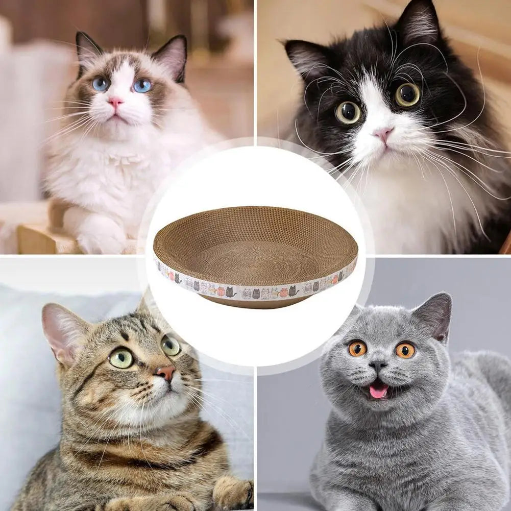 Griffoir cocon en carton ondulé - chat