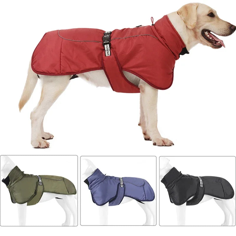 Veste d’hiver chaude coupe-vent - grand chien