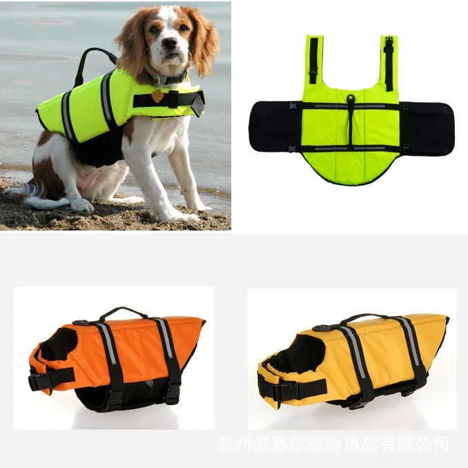 Gilet de sauvetage d’été pour chien