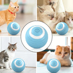 Jouet balle roulante automatique - chat