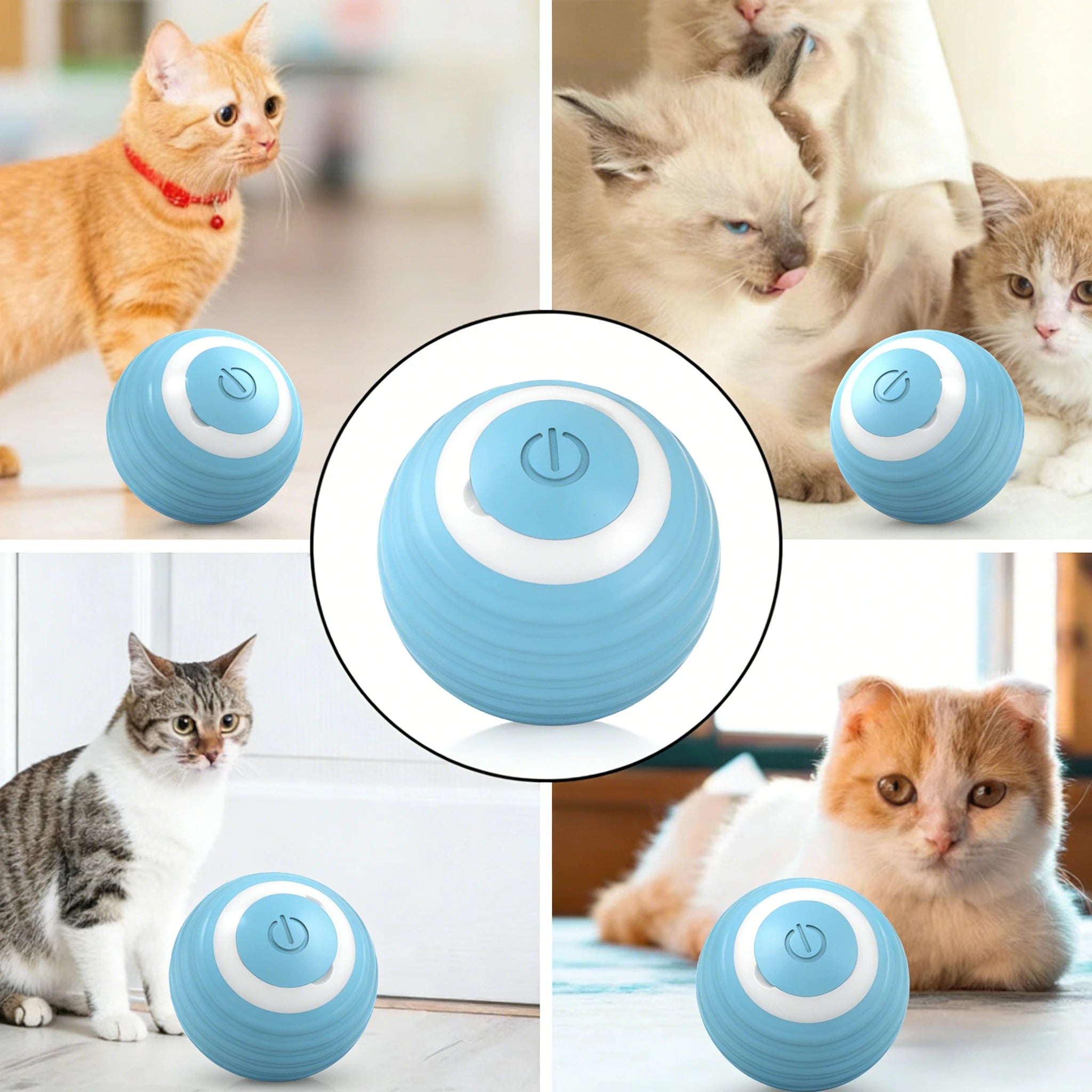 Jouet balle roulante automatique pour chat
