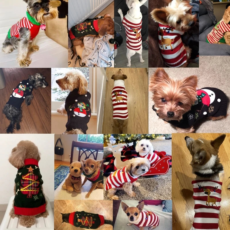 Pull de Noël chaud pour chien & chat