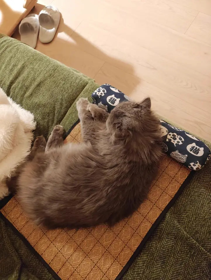 Tapis d’Été en Rotin avec Traversin