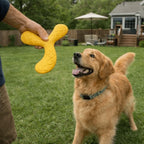 Disque volant flottant - chien