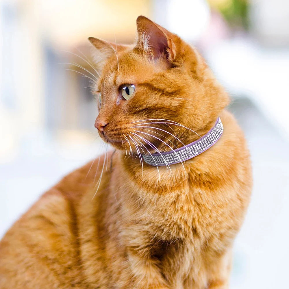Collier en cuir suédé avec strass pour chat