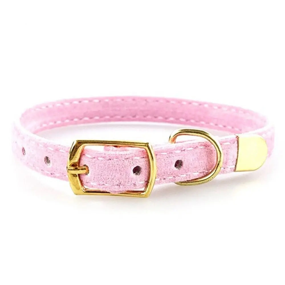 Collier floqué réglable pour chat