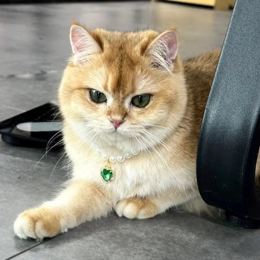 Collier de perles princesse pour chien et chat