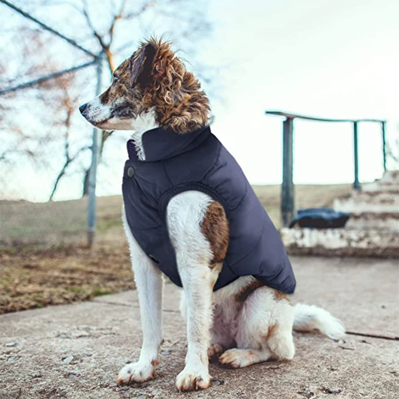 Veste d’Hiver Polaire pour Chien et Chat