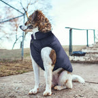 Veste d’Hiver Polaire pour Chien et Chat