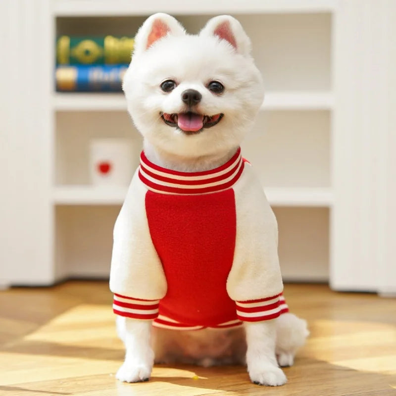 Veste baseball d’hiver - chien et chat