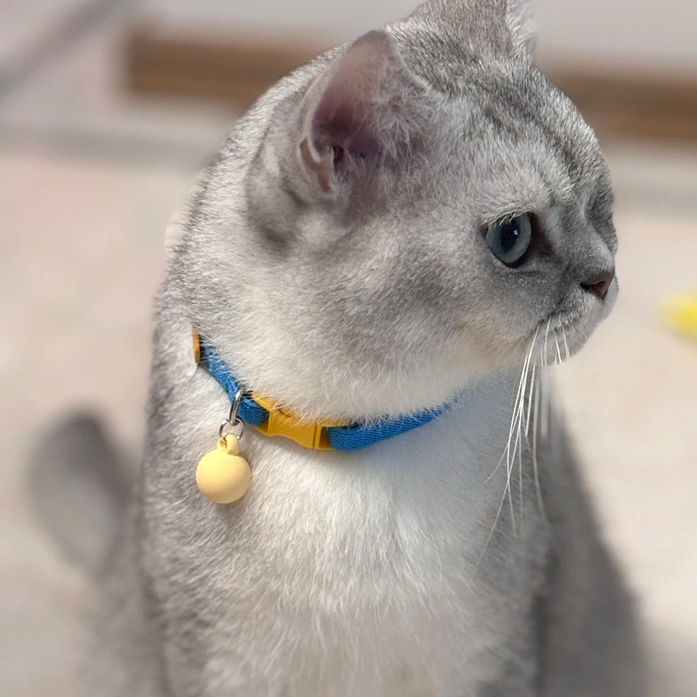 Collier élastique pour chat et petit chien avec cloche amovible