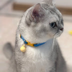 Collier élastique pour chat et petit chien avec cloche amovible