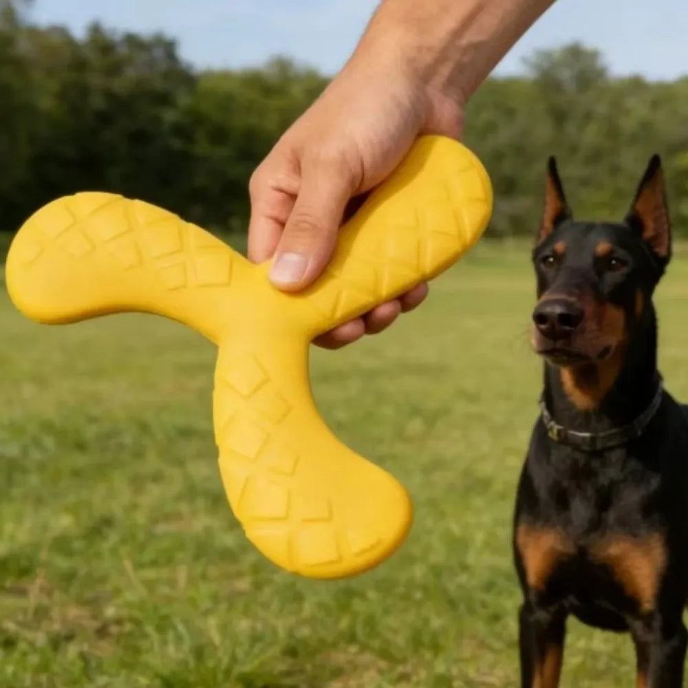 Disque volant flottant - chien