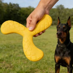 Disque volant flottant - chien