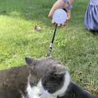 Laisse Rétractable Mini 2 m / 3 m pour Petit Chien, Chat et Chiot