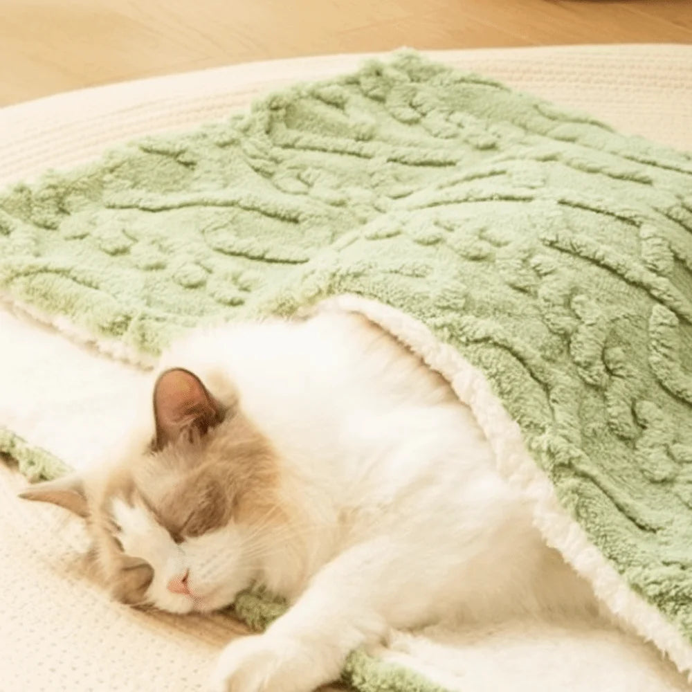 Plaid Cocooning Chat & Chien