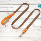 Laisse de marche nylon - chien
