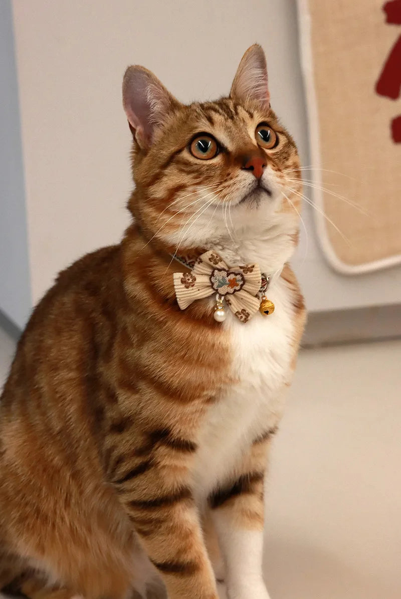 Collier Chat Nœud Papillon Dentelle & Clochette