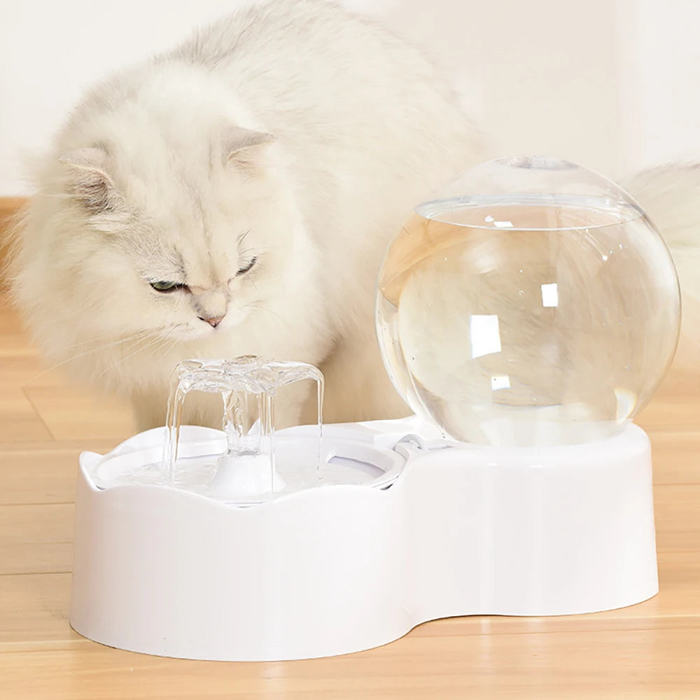 Fontaine globe - chien ou chat