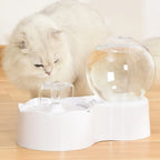 Fontaine globe - chien ou chat