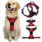 Harnais confort anti-traction avec laisse - chien